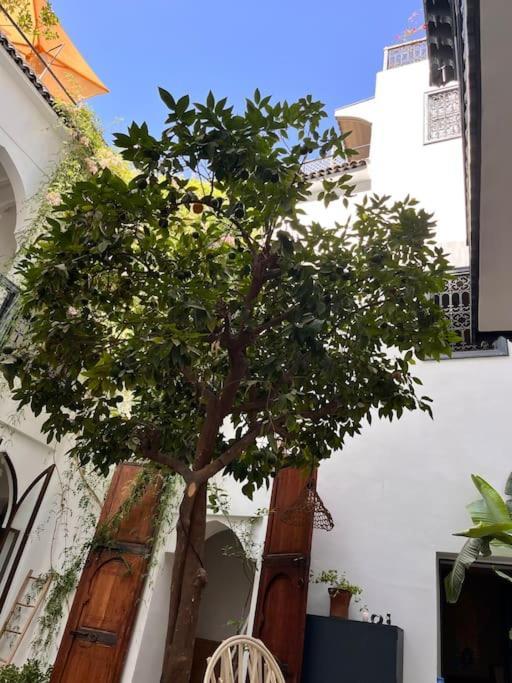 Riad Dar Fannan En Exclusivite Marrakesh Bagian luar foto