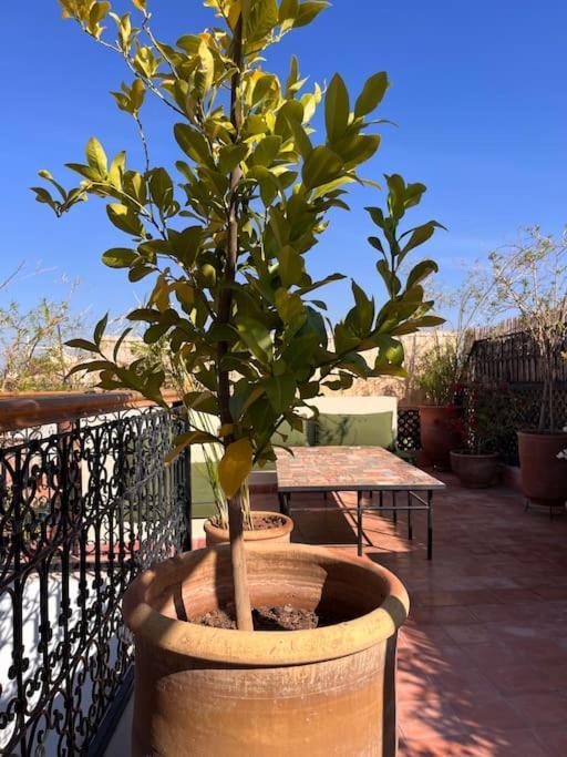Riad Dar Fannan En Exclusivite Marrakesh Bagian luar foto